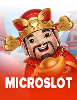 MicroSlot